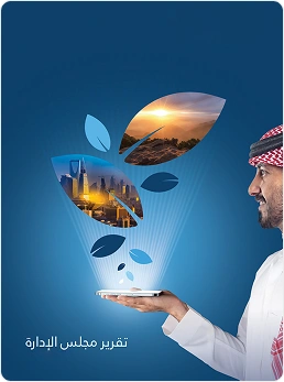 تقرير مجلس الإدارة 2022