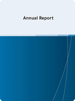  Annual Report 2008