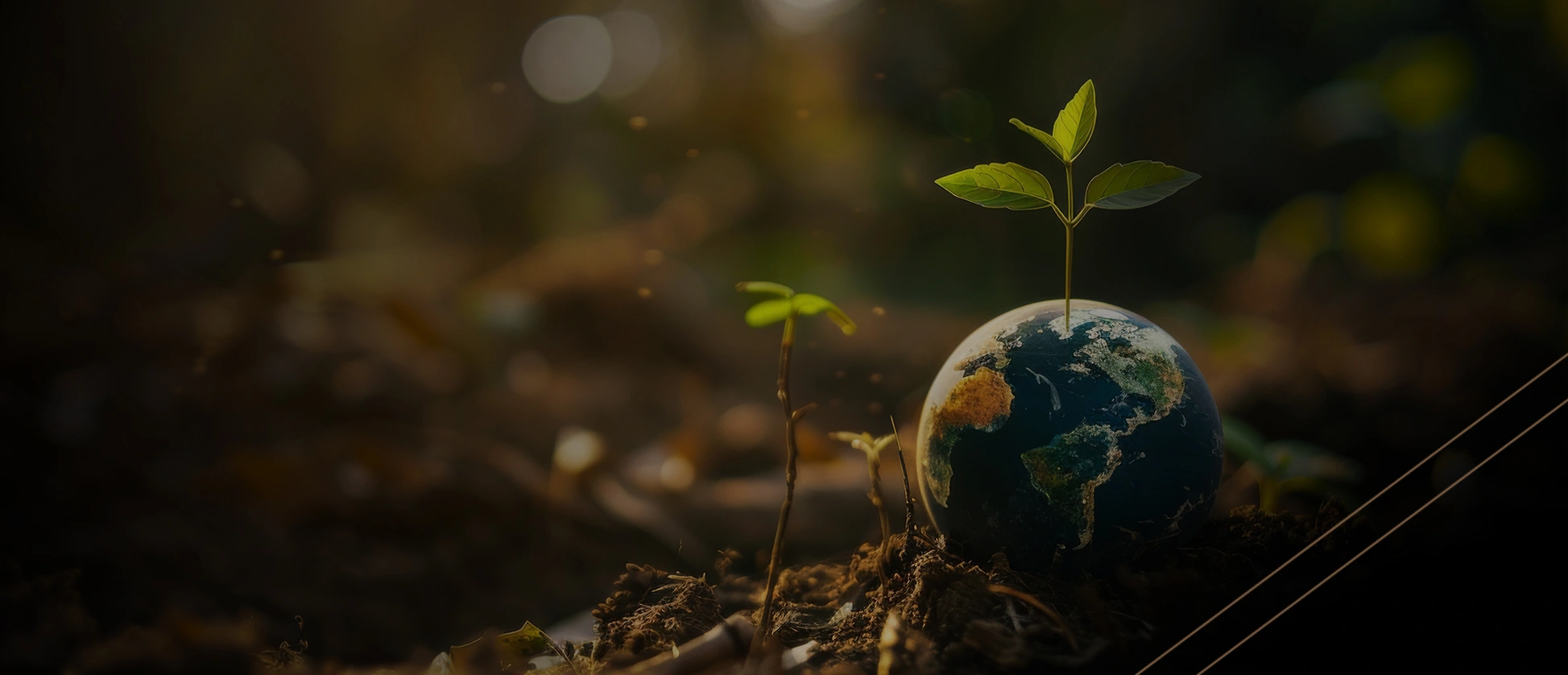 يواصل بنك الجزيرة التزامه الراسخ بالاستدامة ومبادئ البيئة والمجتمع والحوكمة.